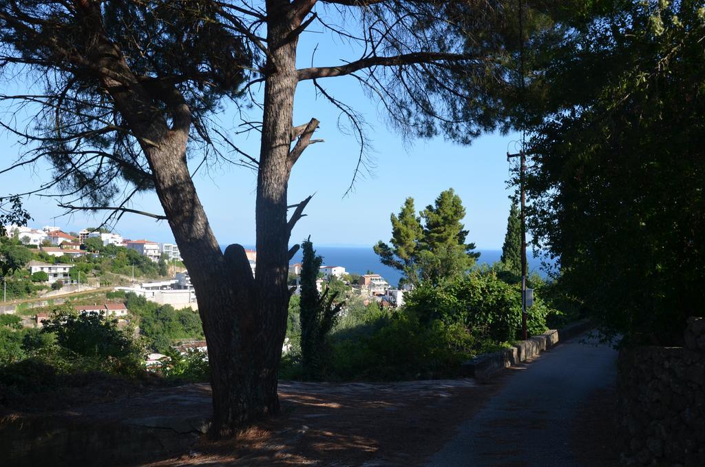 Apartment Dragovic Ulcinj Extérieur photo